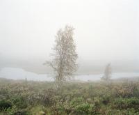 iZurrgurt mit Ratsche/i 2007, C-Print, 120 x 150 cm